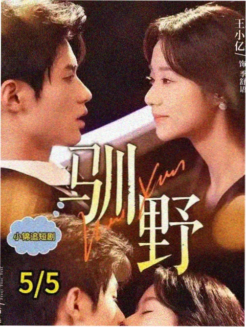 74影院古装剧山河旧梦海报